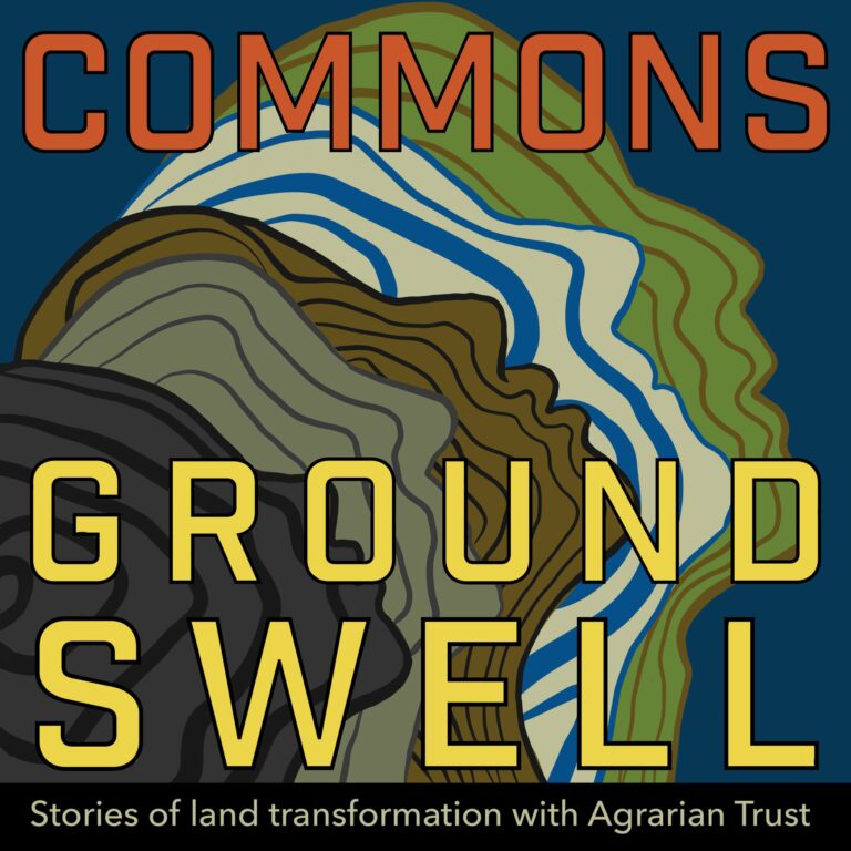 Commons Groundswell