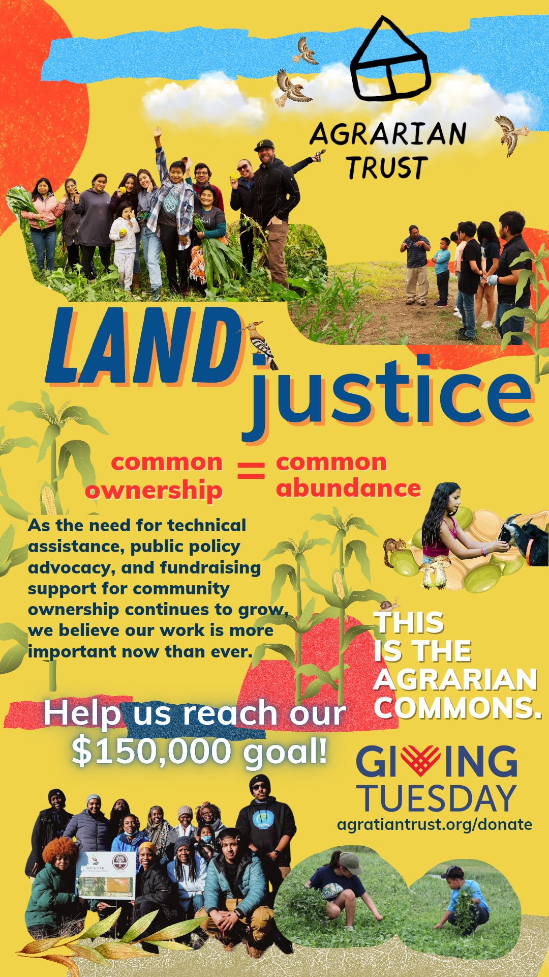 Regeneration And Renewal Agrarian Trust kelli-ingram-large-family-mom-farm-life-i-ve-said-it-here-now-so